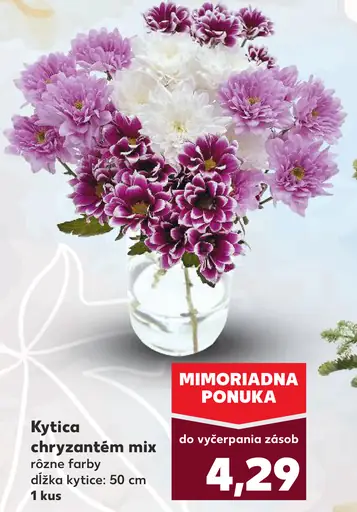 Kytica chryzantém mix