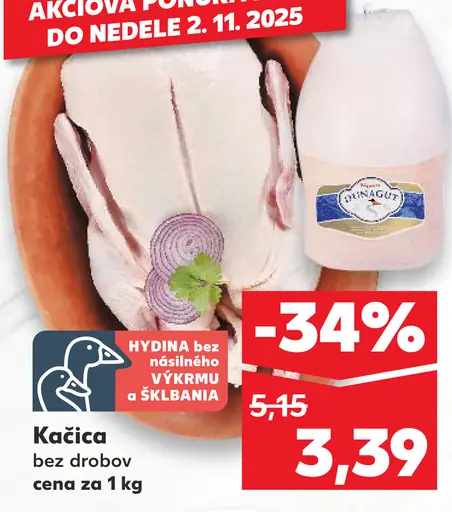 Kačica bez drobov