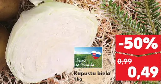 Kapusta biela