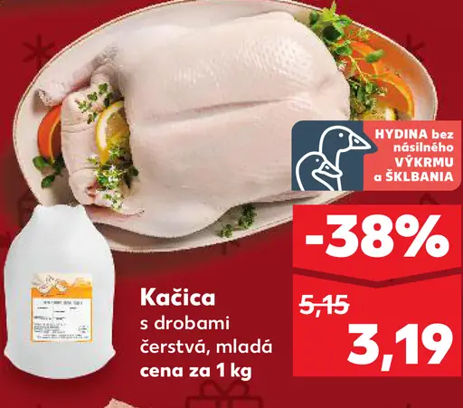 Kačica čerstvá, mladá