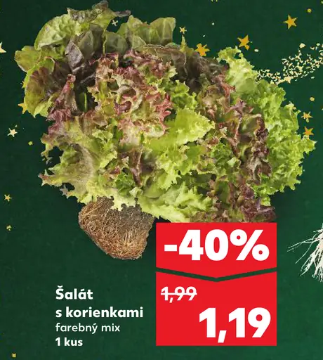 Šalát s korienkami farebný mix