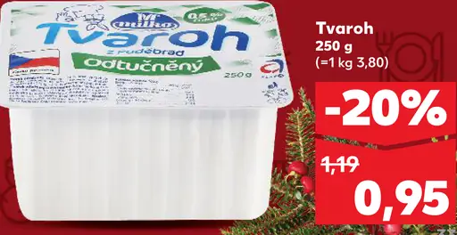 Rajo Tvaroh odtučnený