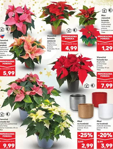 Mini vianočná hviezda