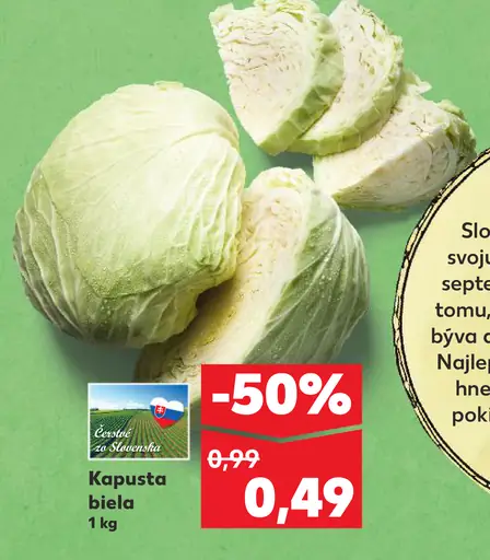 Slovenská kapusta biela