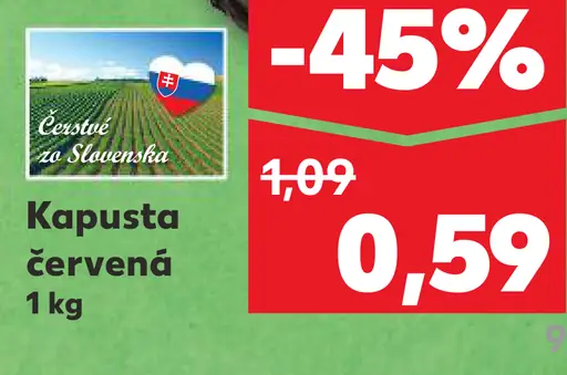 Slovenská kapusta červená