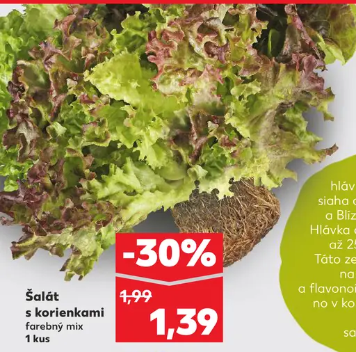 Šalát s korienkami farebný mix