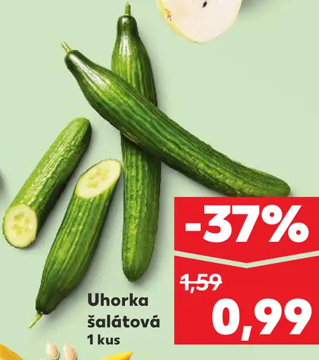 Uhorka šalátová