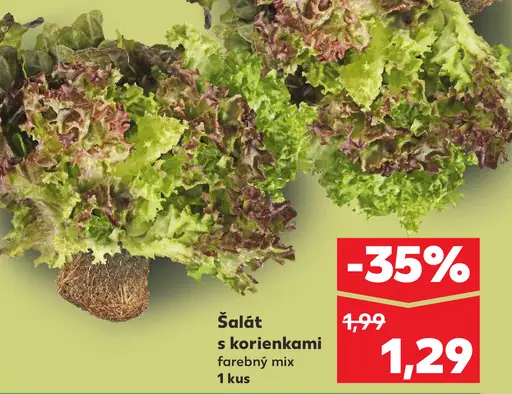 Šalát s korienkami farebný mix