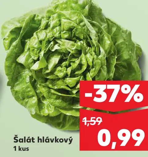 Šalát hlávkový čerstvý