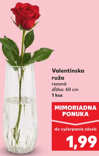 Valentínska ruža rezaná