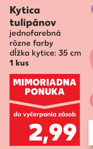 Veľká kytica tulipánov