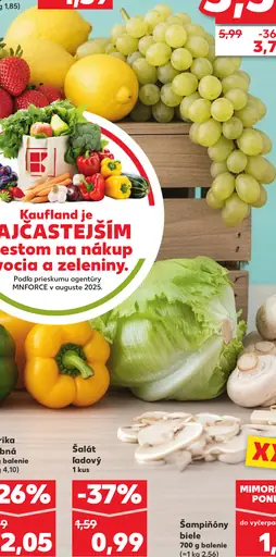 Šampiňóny biele čerstvé