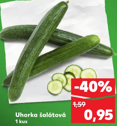 Uhorka šalátová