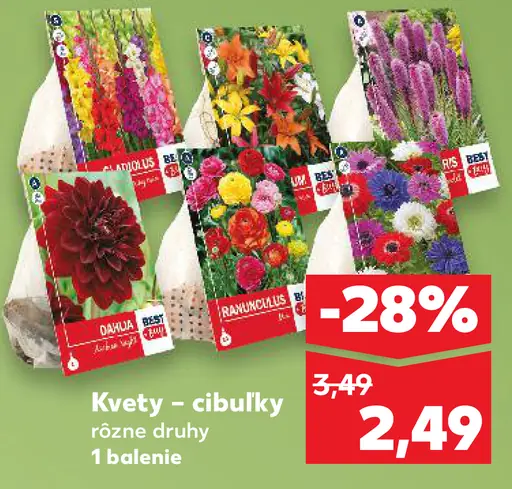 Kvety – cibuľky rôzne druhy