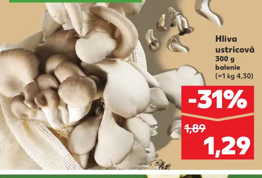 Hlivа ustricová čerstvá