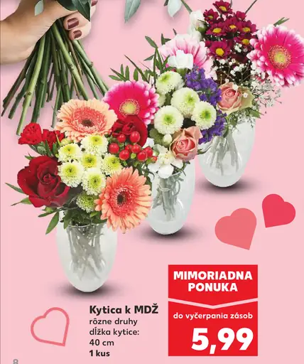 Kytica MDŽ rôzne druhy