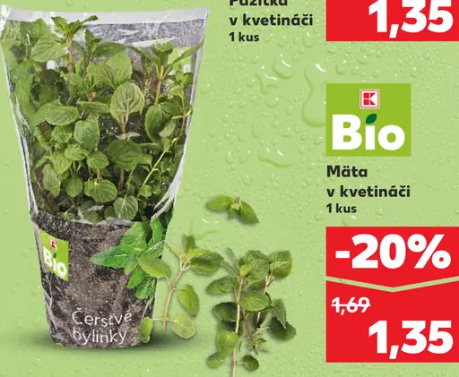 K-Bio mäta v kvetináči