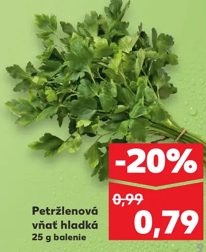 Petržlenová vňať hladká