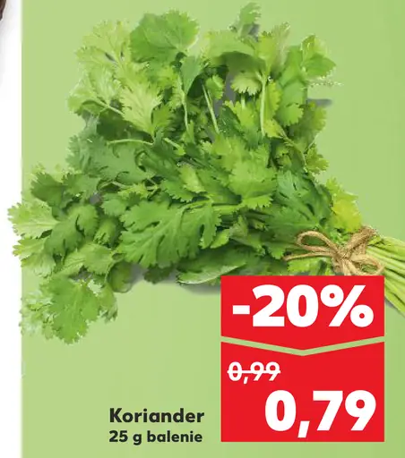Koriander