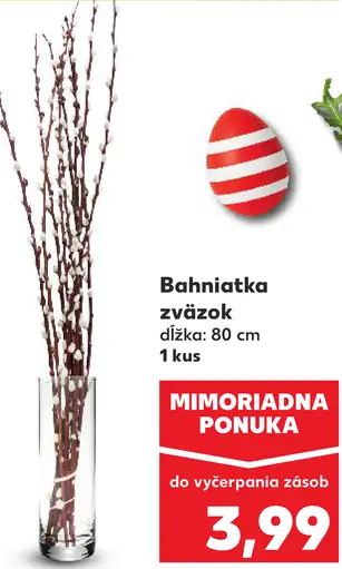 Bahniatka zväzok 80 cm