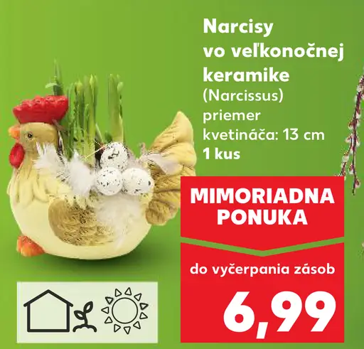 Narcisy vo veľkonočnej keramike okrasná cibuľovina