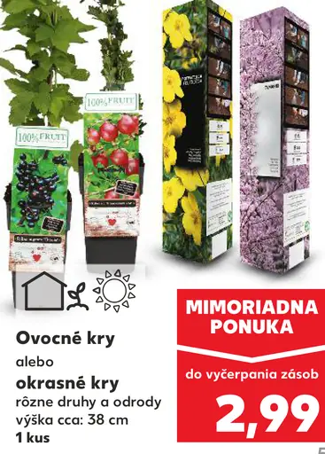 Ovocné kry alebo okrasné kry