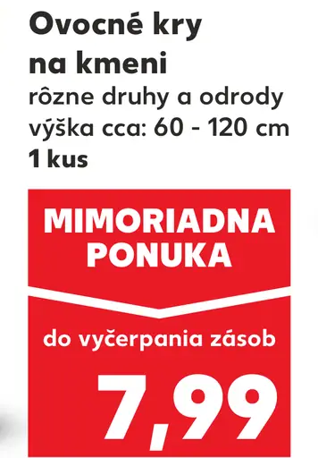 Ovocné kry na kmienku