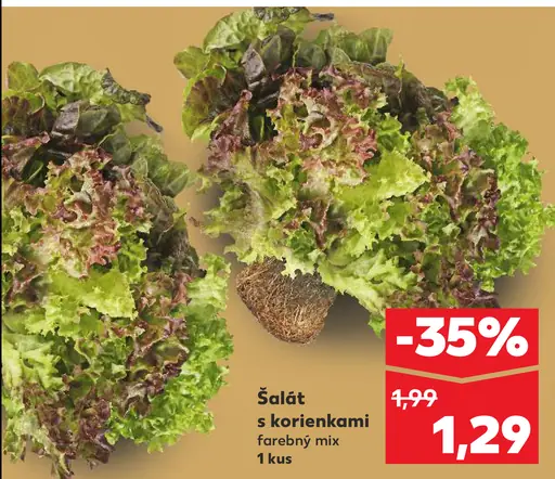 Šalát s korienkami farebný mix