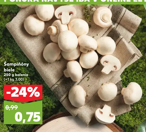 Šampiňóny biele