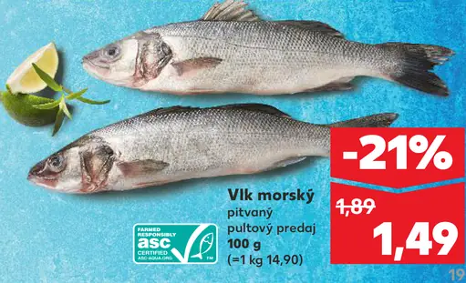 Vlk morský pitvaný pultový predaj