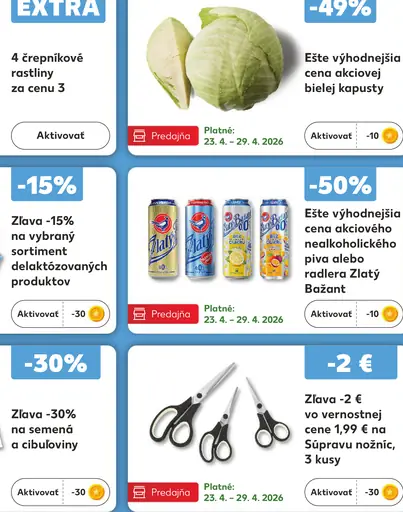 Kvitnúce izbové rastliny