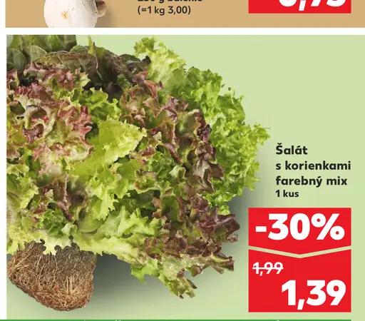 Šalát s korienkami farebný mix