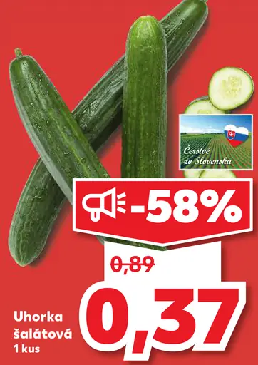 Uhorka šalátová