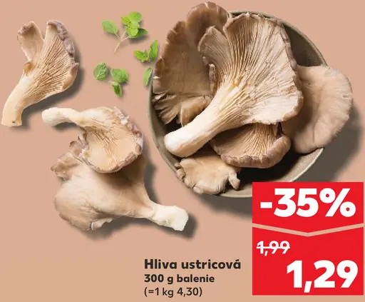 Hlivа ustricová čerstvá