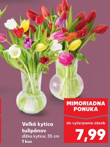 Veľká kytica tulipánov