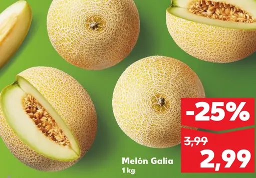 Melón Gália