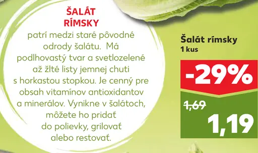 Šalát rímsky