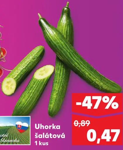 Uhorka šalátová