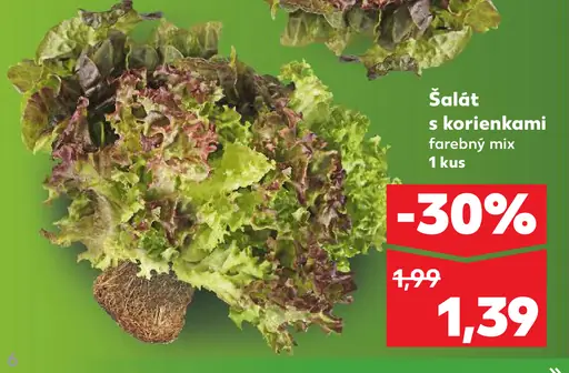 Šalát s korienkami farebný mix