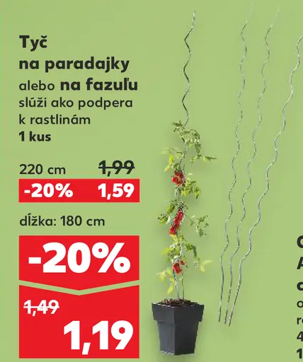 Tyč pre paradajky alebo fazuľu ako podpera k rastlinám 220 cm