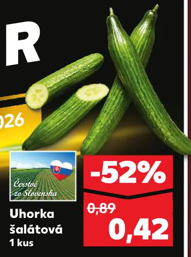 Uhorka šalátová