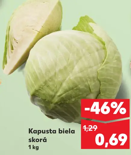 Kapusta biela