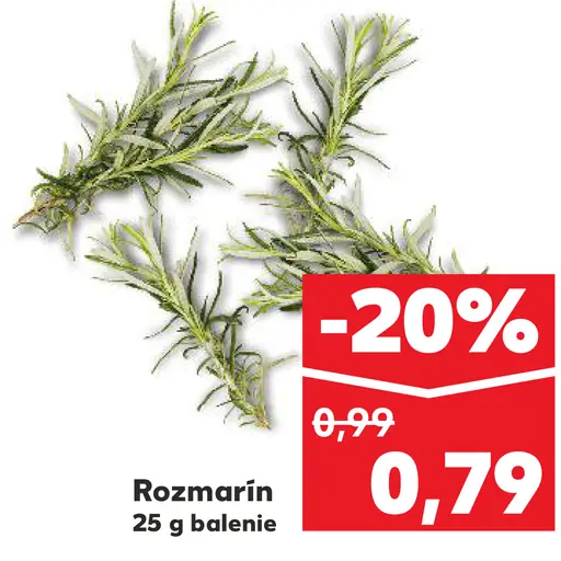 Rozmarín čerstvý