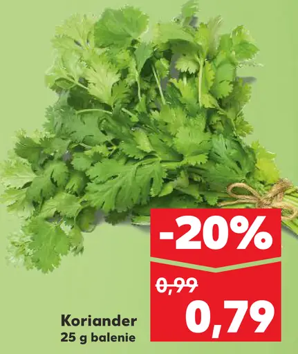 Koriander čerstvý