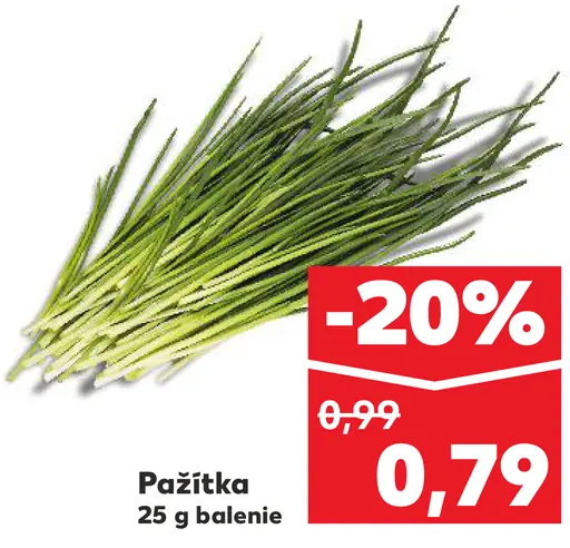 Pažítka čerstvá vňať