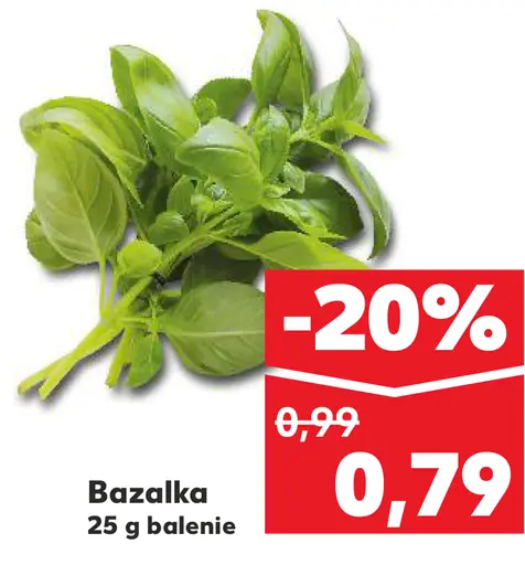 Bazalka čerstvá