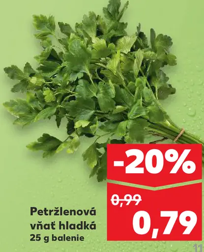 Petržlenová vňať hladká čerstvá