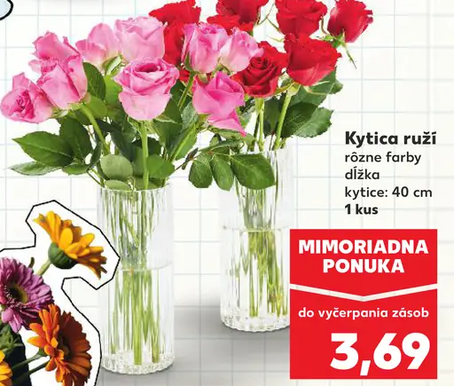 Kytica ruží