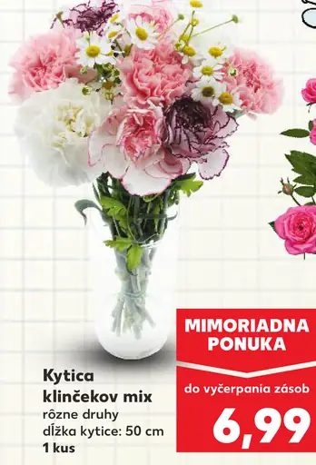 Kytica klinčekov mix