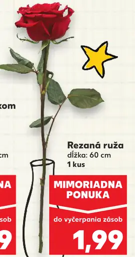 Rezaná ruža